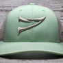 Double Spur- Snap Back