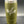 16 Ounce Spur Tumbler
