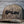 SPUR TEXT SNAPBACK STITCH